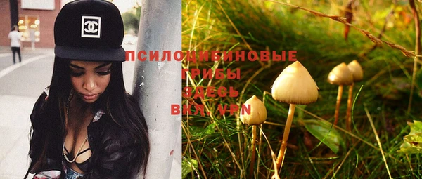 стафф Беломорск